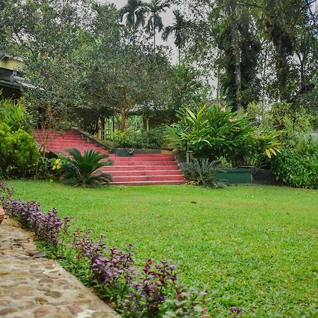Blue Magpie Lodge Sinharaja Kudawe Buitenkant foto