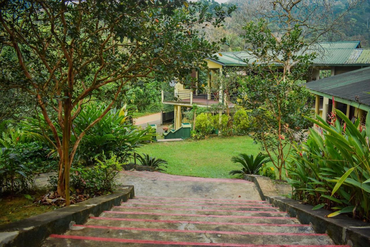 Blue Magpie Lodge Sinharaja Kudawe Buitenkant foto
