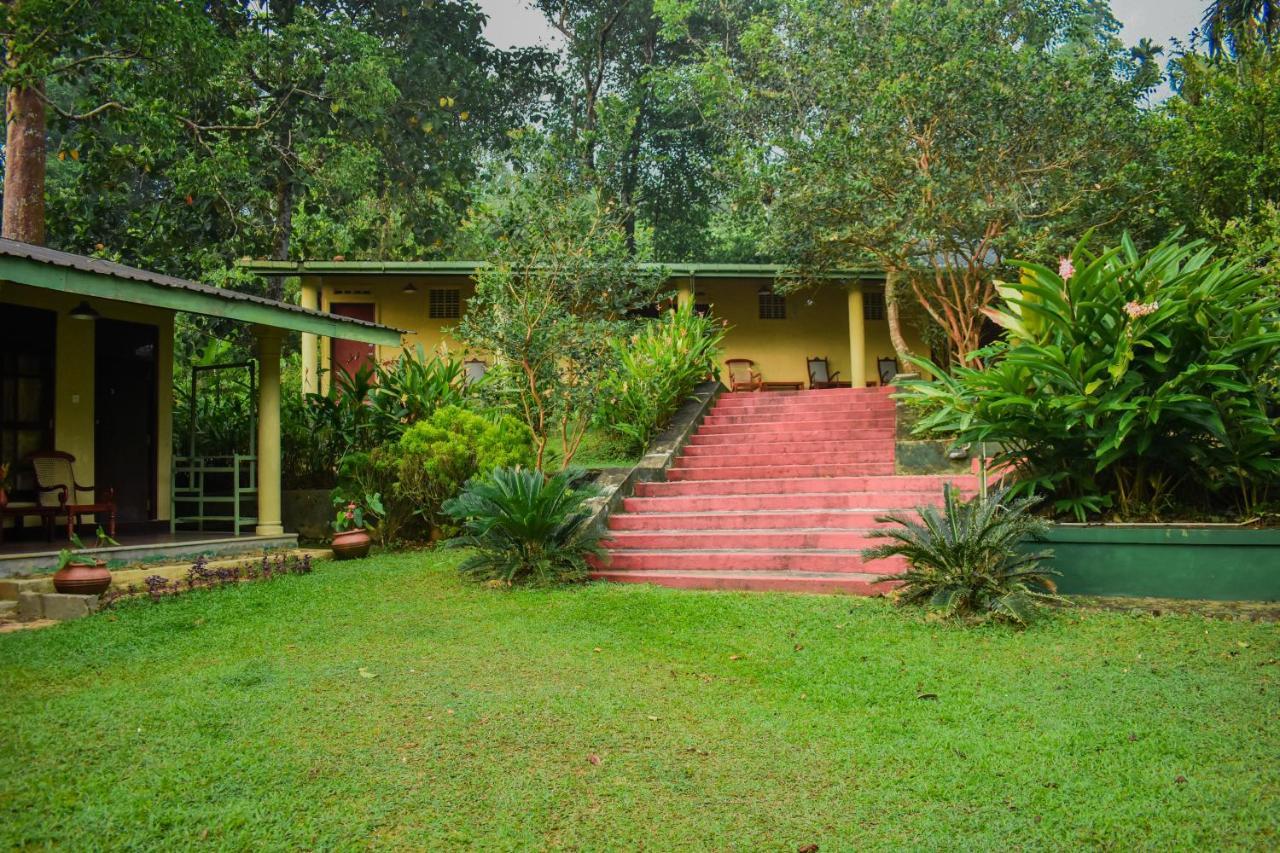 Blue Magpie Lodge Sinharaja Kudawe Buitenkant foto