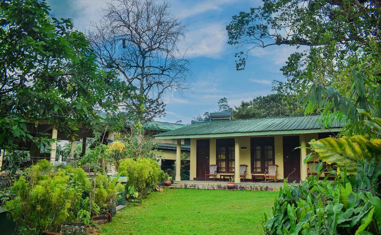 Blue Magpie Lodge Sinharaja Kudawe Buitenkant foto