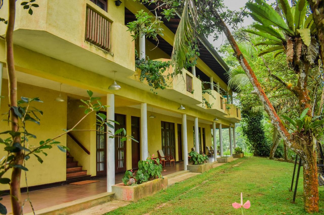Blue Magpie Lodge Sinharaja Kudawe Buitenkant foto